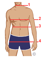 Prendre les mesures du corps - Homme